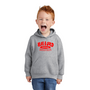 Ballard Port & Company Core Fleece Hoodie with Screen Printed Logo
