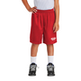 Ballard Sport-Tek PosiCharge Classic Mesh Short with Screen Printed Logo